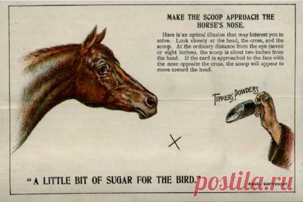 ⌘ ЗАРЯДКА ДЛЯ ГЛАЗ ⌘

Дай лошади лечебный порошок!
(реклама лекарств для лошадей начала 20 века)

Показать полностью...