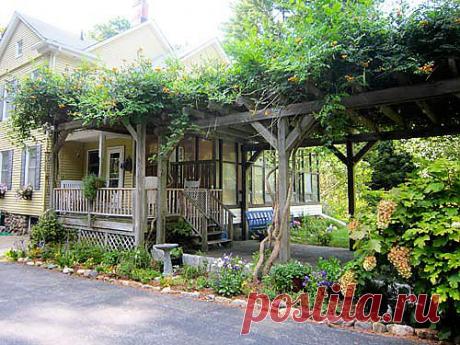 Деревянные перголы на даче