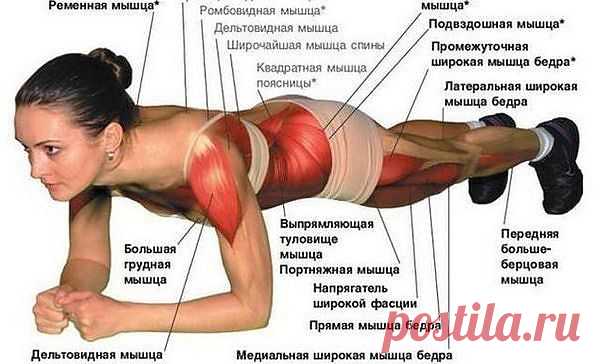Универсальная зарядка - всего одно упражнение.