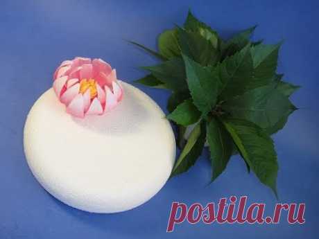 Цветок лотоса (кувшинка).Making a Gumpaste  Water Lily. Gumpaste flowers. Сахарные цветы.