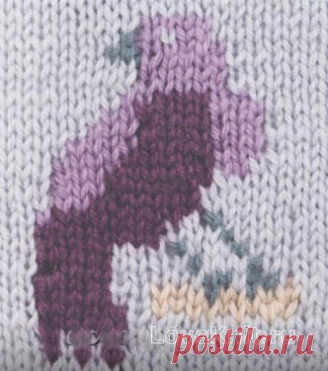 Цветной узор в технике интарсия №4258 » Люблю Вязать