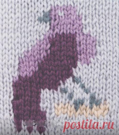 Цветной узор в технике интарсия №4258 » Люблю Вязать