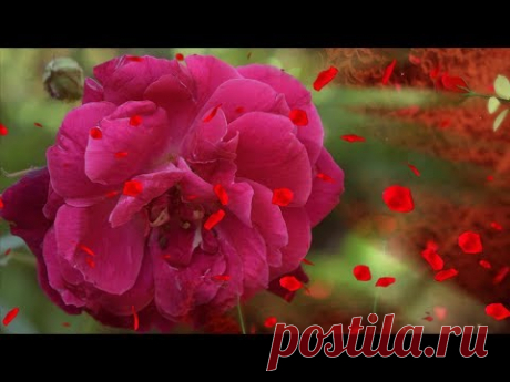Послушай музыку цветов, она прекрасна! - YouTube