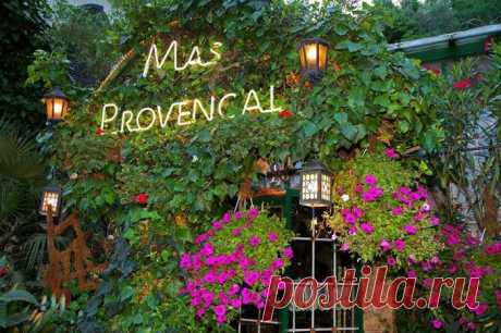 Сказочный ресторан во Франции 
Уютный ресторан Mas Provencal находится на окраине поселка Eze недалеко от Ниццы (Франция). Заведение нетрудно перепутать с зимним садом, поскольку клумб здесь больше, чем столов.

Многочисленные розы и орхидеи, увитые плющом, создают поистине специфическую атмосферу.