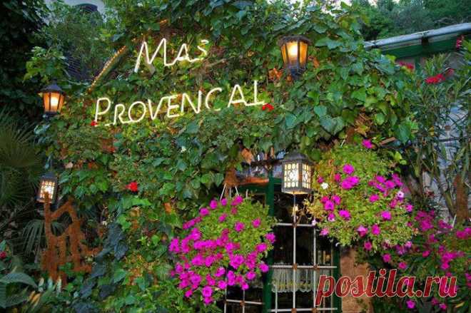 Сказочный ресторан во Франции 
Уютный ресторан Mas Provencal находится на окраине поселка Eze недалеко от Ниццы (Франция). Заведение нетрудно перепутать с зимним садом, поскольку клумб здесь больше, чем столов.

Многочисленные розы и орхидеи, увитые плющом, создают поистине специфическую атмосферу.