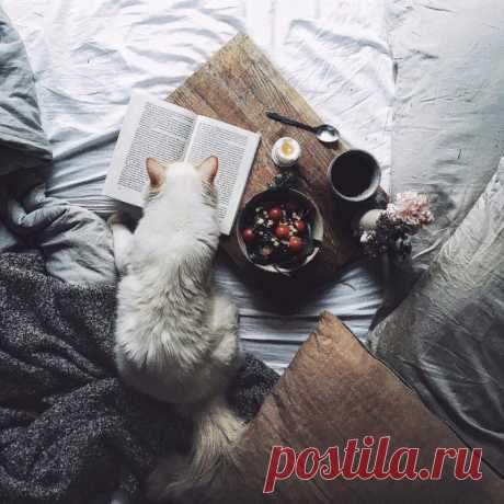 10 самых уютных книг