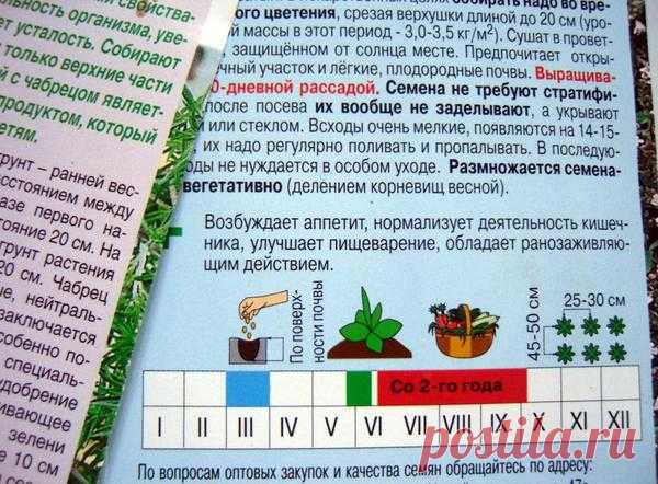 Выбор семян: 10 распространенных ошибок