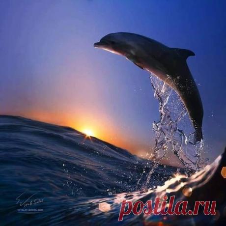 (20+) Facebook