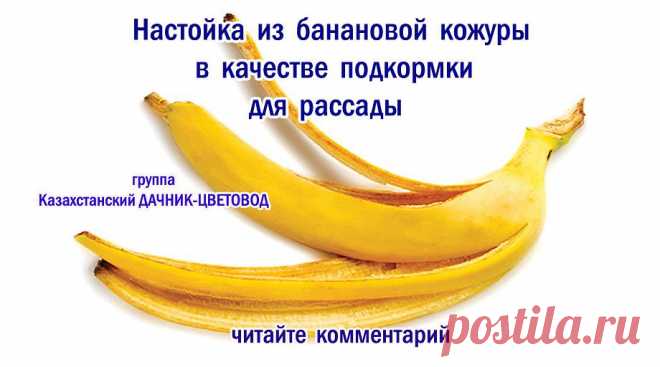 удобрение на основе кожуры бананов занимает отдельное место ввиду высокого содержания калия.
