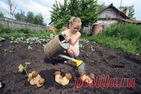 Одноклассники