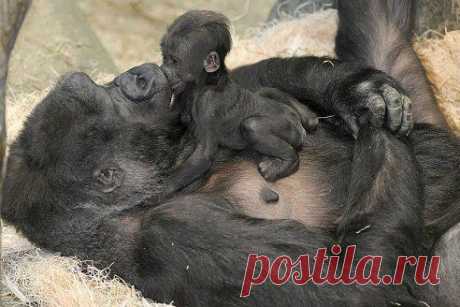 !!!!!!
Ольга Егорова
Мамина радость)))))