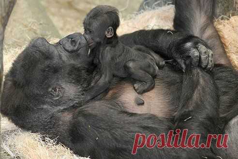 !!!!!!
Ольга Егорова
Мамина радость)))))