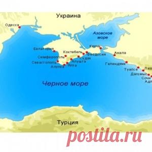 Витамин B17 запрещен, потому что он лечит рак и уничтожает любую злокачественную опухоль - МирТесен