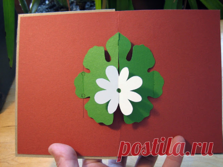 bloemen pop up - jose od la lesa - Веб-альбомы Picasa