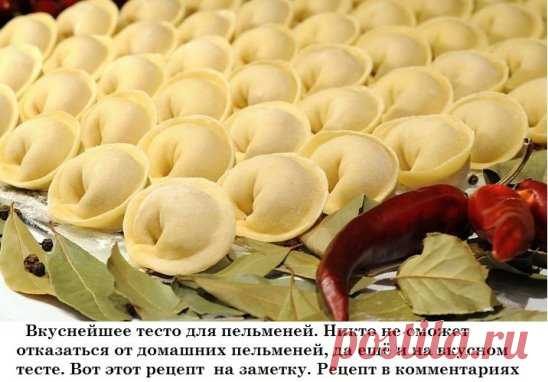 (5) Одноклассники