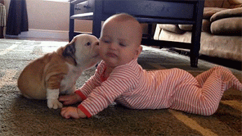 The Huffington Post – Google+