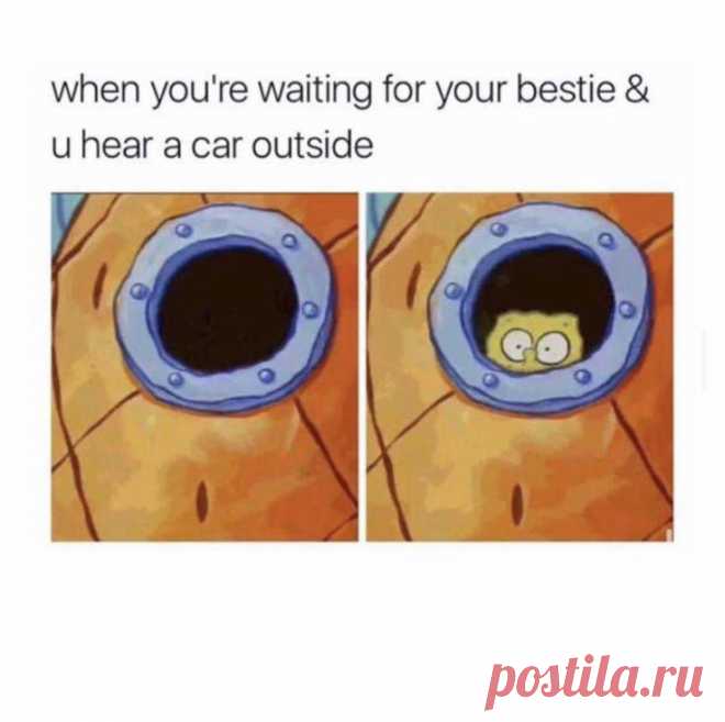 When you're waiting for your bestie and you hear a car outside - Gag Bee

#funny #memes #aww #gagbee