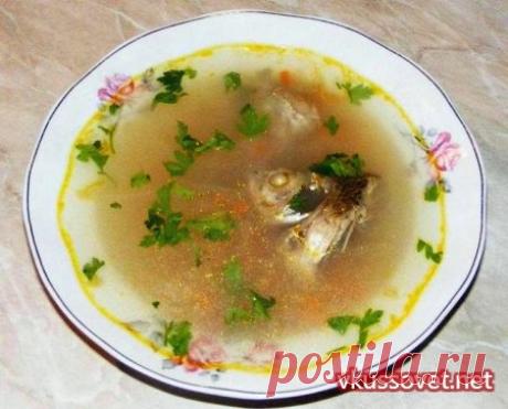 Уха из карпа