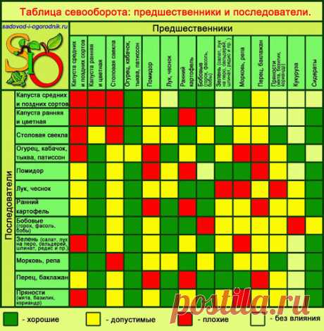 Главные ошибки дачников на огороде в начале сезона | 6 соток