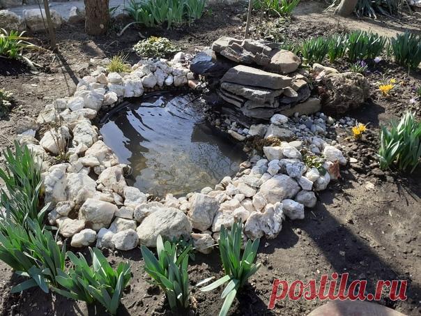 "Купил на aliexpress фонтан на солнечных батареях,вместо разбрызгивателя присоединил пластиковую трубку и проложил её в камнях.Вместо фонтана получился водопад,выглядит очень натурально!Кстати,очень распространённый вопрос,можно ли наращивать провод-без проблем,я припаял аж 7 метров,солнечную панель установил на крыше гаража.Даже в облачную погоду ручей течёт без потери мощности!" - Сергей Алёхин