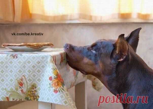 Самоконтроль. / Рукоделие