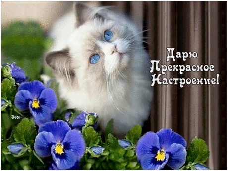 175914137.gif (Изображение GIF, 1024 × 768 пикселов)