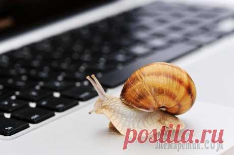 12 способов заставить интернет работать быстрее 12 способов заставить интернет работать быстрее