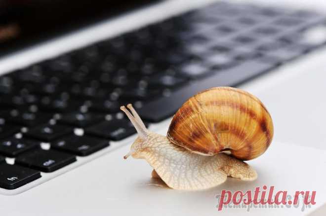 12 способов заставить интернет работать быстрее 12 способов заставить интернет работать быстрее