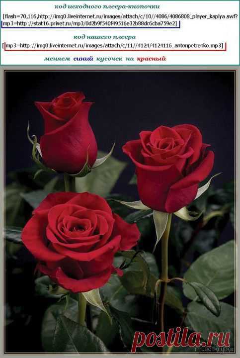 Как вставить свою музыку в плеер