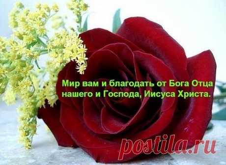 getImage (600×438)