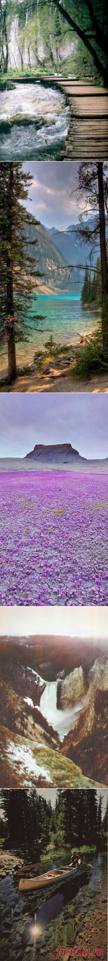 (18) Pinterest