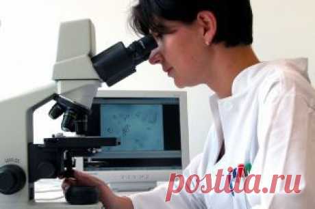 Инновационное лечение: ученые научились пересаживать кишечную микрофлору | Здоровая жизнь | Здоровье | Аргументы и Факты