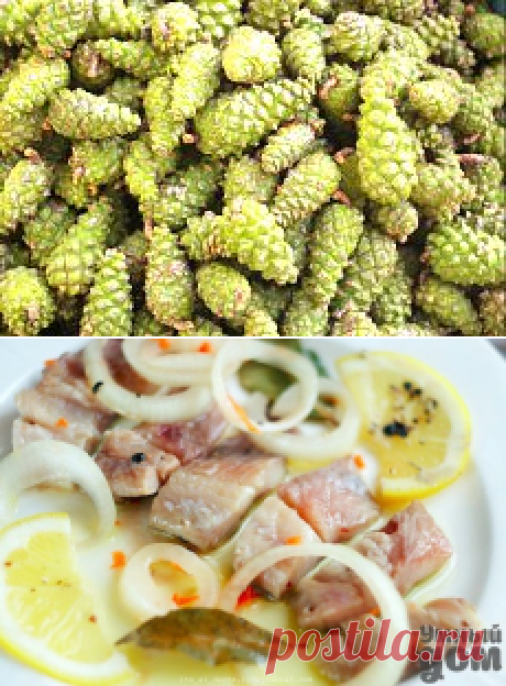 ЕДА И РЕЦЕПТЫ | Рецепты простой и вкусной еды на Постиле