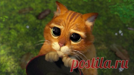 Как надо просить мужчин, чтобы им было приятно Вашу просьбу исполнить