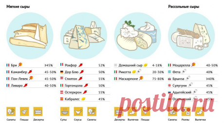 полезные советы