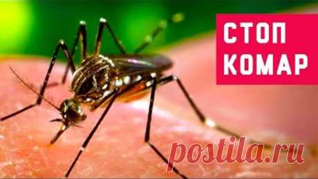 (73) Одноклассники