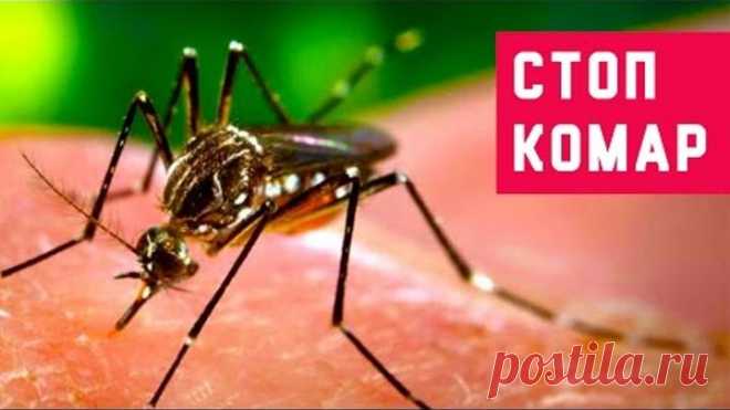 (73) Одноклассники