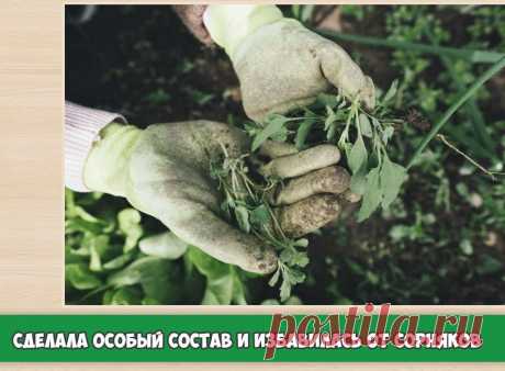 Как я борюсь с сорняками на садовых дорожках и между клумб с цветами? | 6 соток