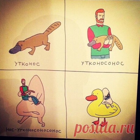 Утконосоносутконососом...))) чепуХА! заморока от Олеси Матвеевой