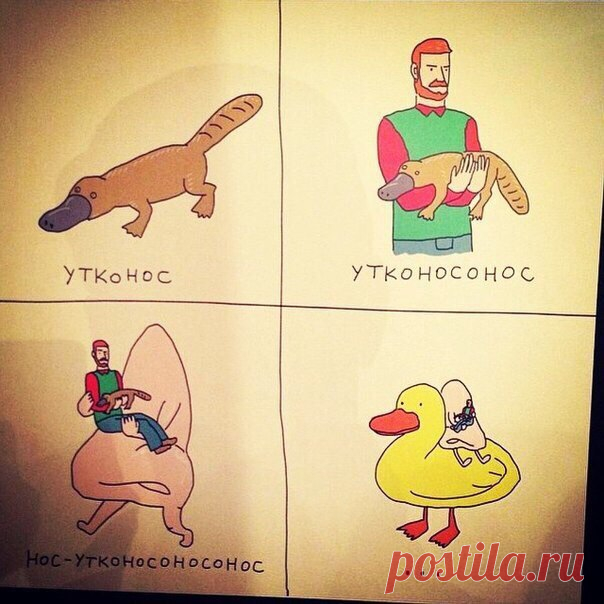 Утконосоносутконососом...))) чепуХА! заморока от Олеси Матвеевой