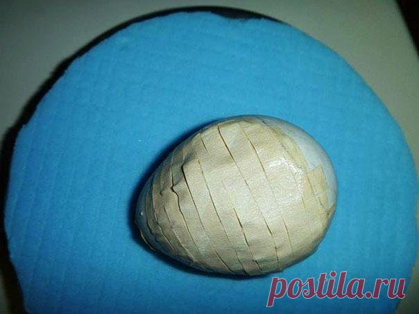 Спасение птенца попугая | Все о наших питомцах