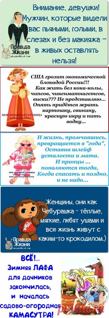 Забавные советы в картинках.