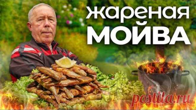 Жареная МОЙВА на СКОВОРОДЕ и домашние ШПРОТЫ из МОЙВЫ