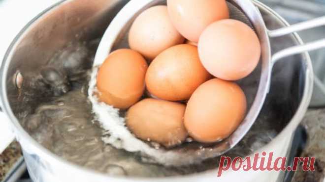 Как сварить куриные яйца без кипячения: выходит вкуснее и полезнее