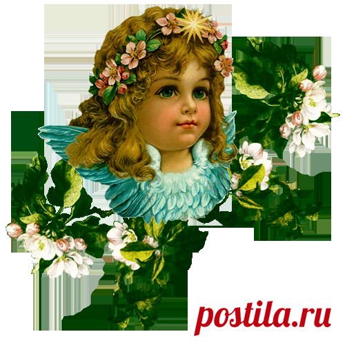 винтажные цветы в PNG для декупажа