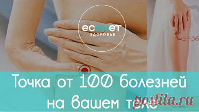 (3) Одноклассники
