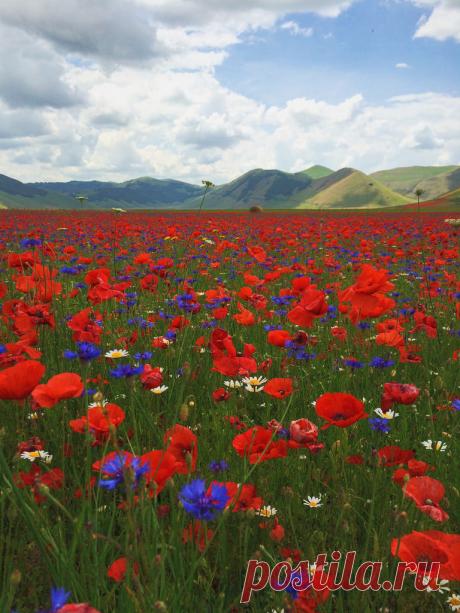 Castelluccio, Umbria, Italy