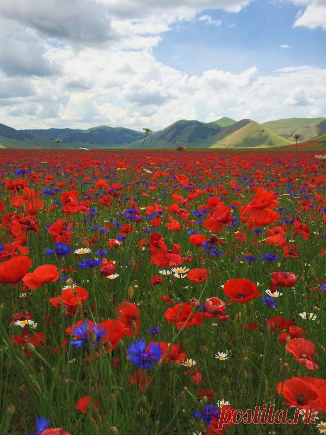 Castelluccio, Umbria, Italy