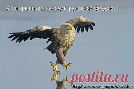 Мой Мир@Mail.Ru