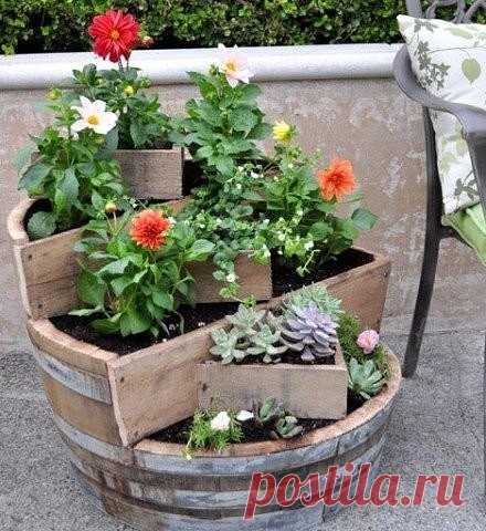(1) Одноклассники